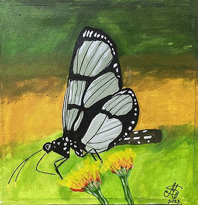 Mariposa sola