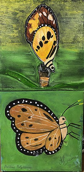 Par de mariposas